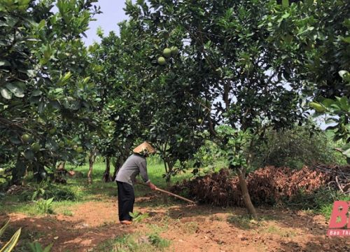 Đảng bộ xã Ngọc Sơn đổi mới phương thức lãnh đạo theo hướng gần dân, sát cơ sở