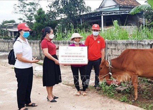 Hỗ trợ sinh kế, phát triển sản xuất cho nạn nhân bom mìn năm 2021