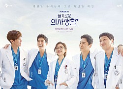 Hospital Playlist xuất hiện luôn trong cả đề thi Olympia, nhưng hỏi dễ thế này fan cứng xin thi để giật vòng nguyệt quế luôn mới chịu