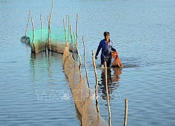 'Lộc trời' mùa nước nổi