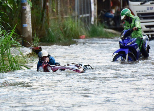 Ngã nhào trong triều cường ở Sài Gòn