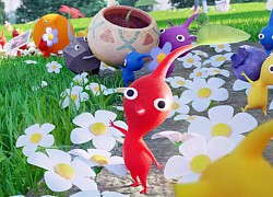 Pikmin Bloom đã xác định ngày cộng đồng đầu tiên diễn ra vào ngày 13.11