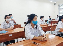 TP.HCM: Thi học sinh giỏi cấp thành phố vào cuối tháng 12