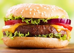 Quy trình sản xuất hamburger tự động