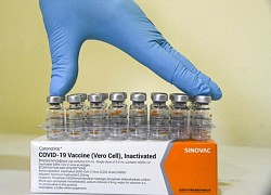 Sinovac nói vaccine an toàn cho trẻ từ 6 tháng tuổi