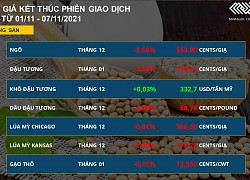 Thị trường đi xuống, giá quặng sắt 'bay tiếp' 12%