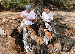 Thử một lần làm 'con sen' ở đảo thỏ Okunoshima Nhật Bản