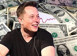 Tỉ phú Elon Musk hỏi ý dân mạng có nên bán cổ phần Tesla