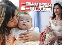 Triệu Triết Dư &#8211; Á hậu chuyên mồi chài đại gia và cái kết làm mẹ đơn thân bên con gái điếc bẩm sinh