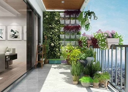 Cách chọn cây xanh phù hợp đặt trong nhà để giúp 'khai thông tài vận' cho gia chủ