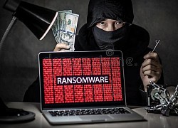 Hacker đối mặt án 145 năm tù giam vì phát tán mã độc tống tiền