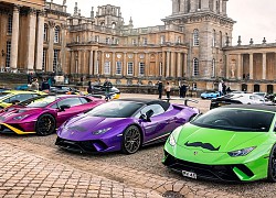 Hơn 200 chiếc Lamborghini xuất hiện tại sự kiện Movember ở London