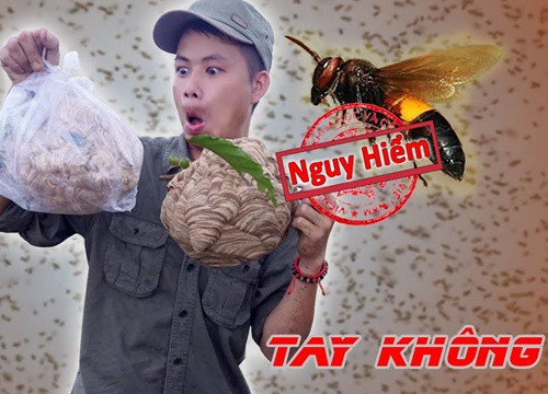 Không đồ bảo hộ, nam thanh niên mạo hiểm tay không bắt 3 tổ ong vò vẽ trên cây cà phê