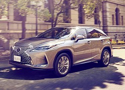 Lexus RX 2022 phối màu nội thất bắt mắt hơn