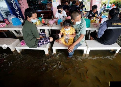 Sau trận mưa lớn nước tràn vào tận phòng ngủ, cô gái quay cảnh tượng dưới chân giường khiến triệu người hãi hùng