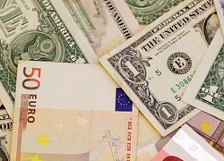 Tỷ giá USD, Euro ngày 11/11: Vàng vọt lên, USD đứng giá