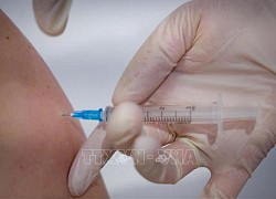 WHO cảnh báo thiếu 1-2 tỉ ống tiêm vaccine vào năm 2022