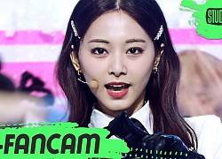 Bị JYP xem như "vô hình", Tzuyu vẫn "đè bẹp" các thành viên TWICE để sở hữu fancam nhiều view nhất