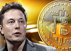 Elon Musk chứng minh cho cả thế giới thấy độ mê tín của những tay chơi tiền số