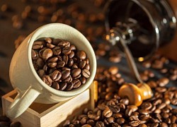 Giá cà phê hôm nay 13/11: Arabica tiếp tục tăng mạnh, lên mức cao nhất 7 năm qua