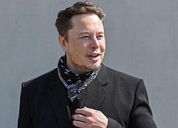 Elon Musk 'hối hả' bán cổ phiếu nhằm thực hiện lời hứa nộp thuế