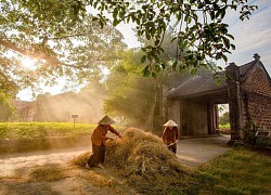 Làng cổ Đường Lâm - đẹp đến mức chỉ muốn bỏ phố về quê