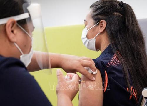 New Zealand cấp chứng nhận thông hành vaccine