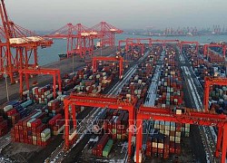 WTO: Giao thương toàn cầu đang chậm lại