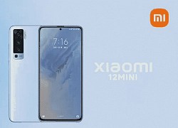 Xiaomi có thể ra mắt 2 flagship mini sắp tới