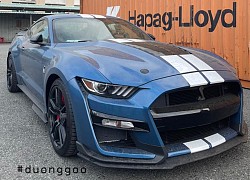 Shelby nhá hàng siêu Mustang mới, rất thích hợp cho những dân chơi Việt