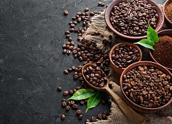 Giá cà phê hôm nay 21/11: Arabica tiếp tục có tuần tăng trưởng ngoạn mục, nguồn cung toàn cầu ngày càng giảm