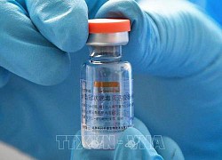 Indonesia thử nghiệm vaccine của Sinovac cho liều tăng cường vào đầu năm 2022