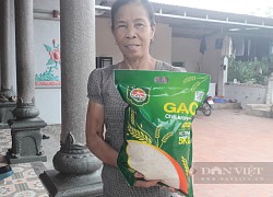 Thái Nguyên: Giống lúa có cái tên &#8220;lạ&#8221; nông dân ai cũng mê vì gạo dẻo, thơm ngon, bán đắt tiền