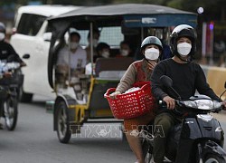 Toàn thế giới đã ghi nhận trên 256,5 triệu ca mắc COVID-19