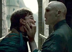 Cái chết của Voldemort trong Harry Potter vốn dĩ đã khác 100%: Ý nghĩa hơn hẳn cách phim cho "bay màu", 10 năm sau fan vẫn cáu!