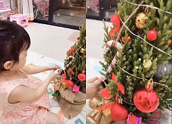 Con gái Trường Giang thích thú trang trí cây thông Noel