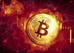 Giá Bitcoin hôm nay 22/11: Bitcoin đuối sức, thị trường tiền ảo buồn thảm