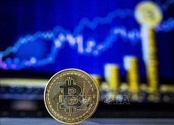 IMF khuyến nghị El Salvador không nên sử dụng Bitcoin làm tiền tệ chính thức