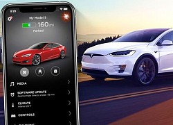 Không thể vào xe Tesla do lỗi máy chủ