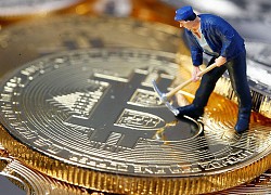 Những thiên đường Bitcoin mới của thế giới