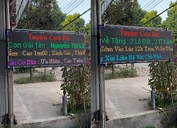 Ông bố Hải Phòng làm bảng LED tuyển con rể, lời hứa khiến các chàng trai "sốt xình xịch"