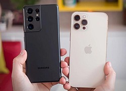 Samsung gặp nguy, iPhone 13 như "hổ mọc thêm cánh"