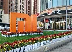 Xiaomi báo cáo doanh thu và lợi nhuận tăng trưởng ổn định trong Quý 3 2021