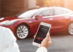 Hàng loạt xe Tesla không thể khởi động được vì lý do ít ai ngờ