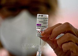 EU chấm dứt chương trình cấp phép xuất khẩu vaccine