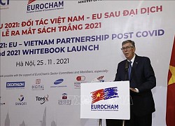 Gặp gỡ châu Âu 2021: Đối tác Việt Nam - EU hậu COVID-19