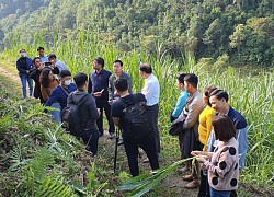 Hà Giang: Cho cá tầm lên núi, vỗ béo bò, nuôi lợn đặc sản, nhà nông thu tiền đều tay