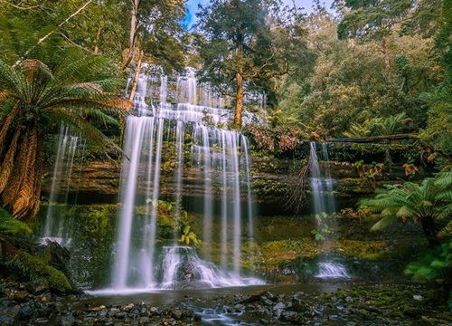 Hành trình du lịch Tasmania - vùng hoang dã với cảnh quan ngoạn mục ở miền nam nước Úc