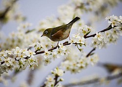 Người sinh vào khung giờ Âm lịch này nóng tính nhưng nhân hậu, tài lộc dồi dào