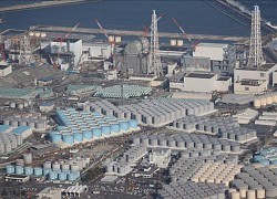 Nhật Bản sẽ gia cố 'bức tường băng' tại nhà máy điện hạt nhân Fukushima Daiichi